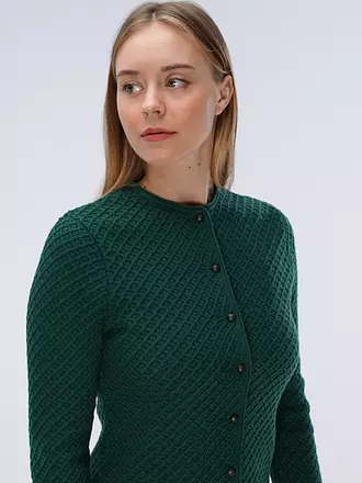 GOTTSEIDANK | Gilet traditionnel en tricot VEVI | grün